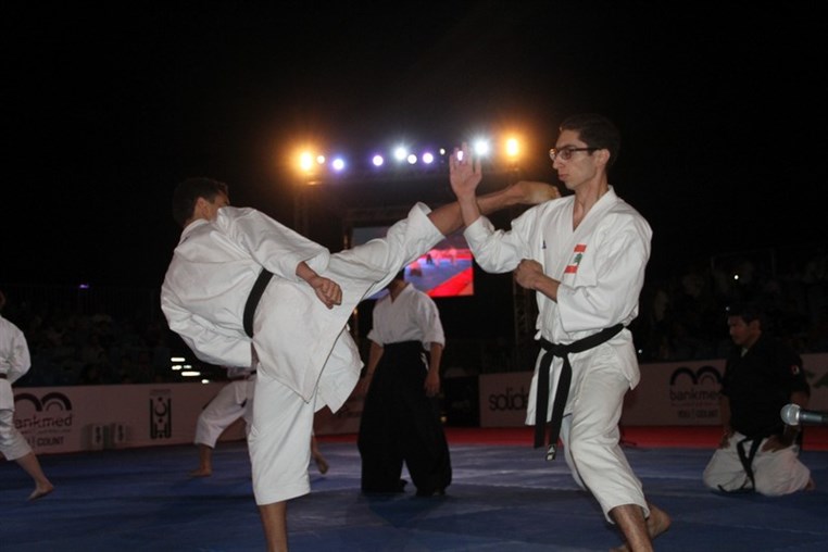 Martial Arts Festival